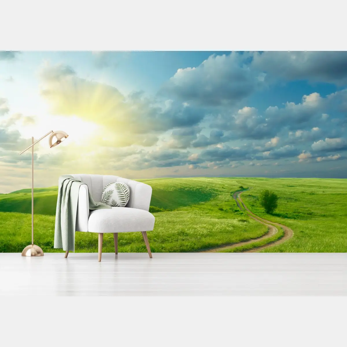 Wall mural sunlit summer meadow with winding road • Wallissimo®