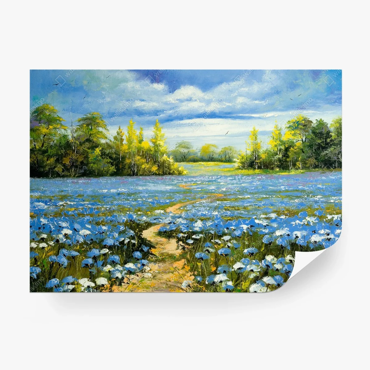 Wall mural path through a blue cornflower meadow • Wallissimo® Wall mural path through a blue cornflower meadow • Wallissimo®
