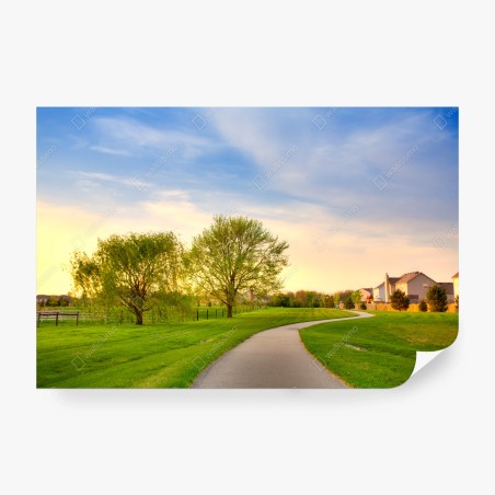 Wall mural quiet summer pathway at dusk • Wallissimo®