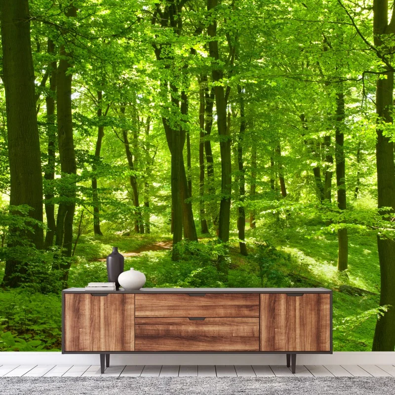 Wall mural lush green forest canopy • Wallissimo® Wall mural lush green forest canopy • Wallissimo®
