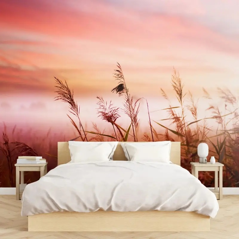 Wall mural misty meadow at sunrise