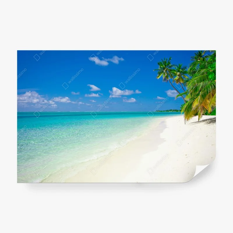Wall mural tropical turquoise beach escape • Wallissimo® Wall mural tropical turquoise beach escape • Wallissimo®