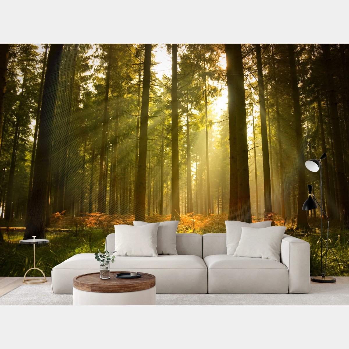 Wall mural golden forest at dusk • Wallissimo®