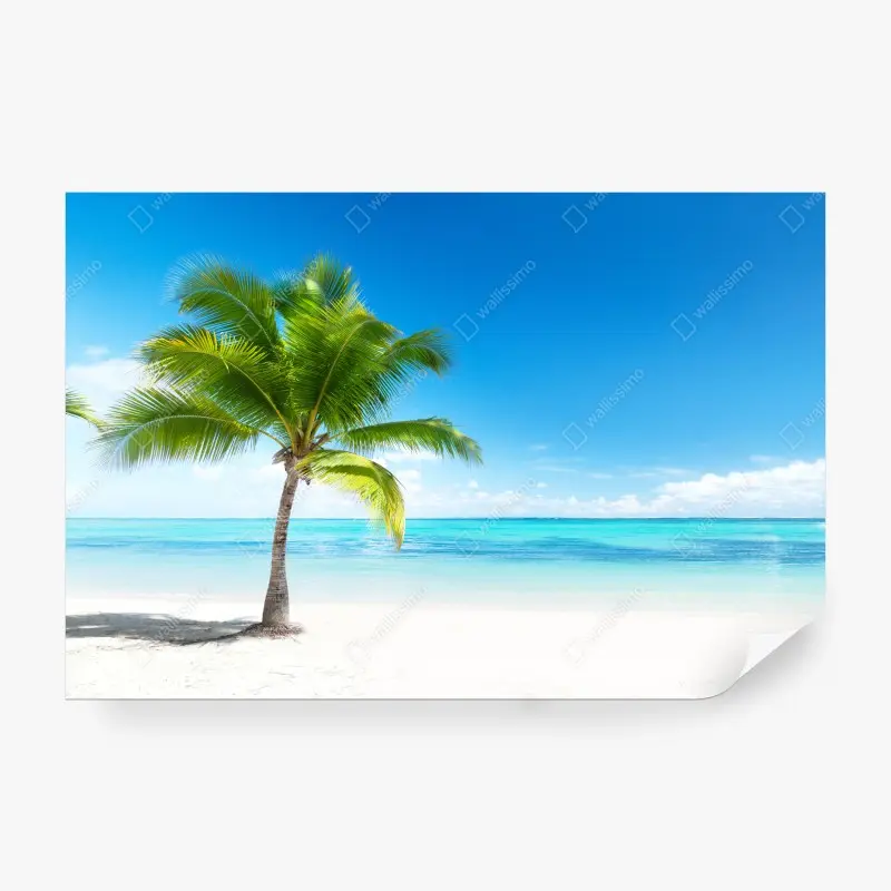 Wall mural tropical palm on tranquil beach