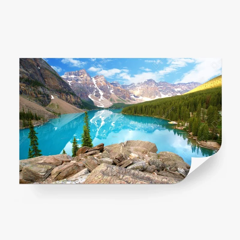 Wall mural turquoise mountain lake with pine forest