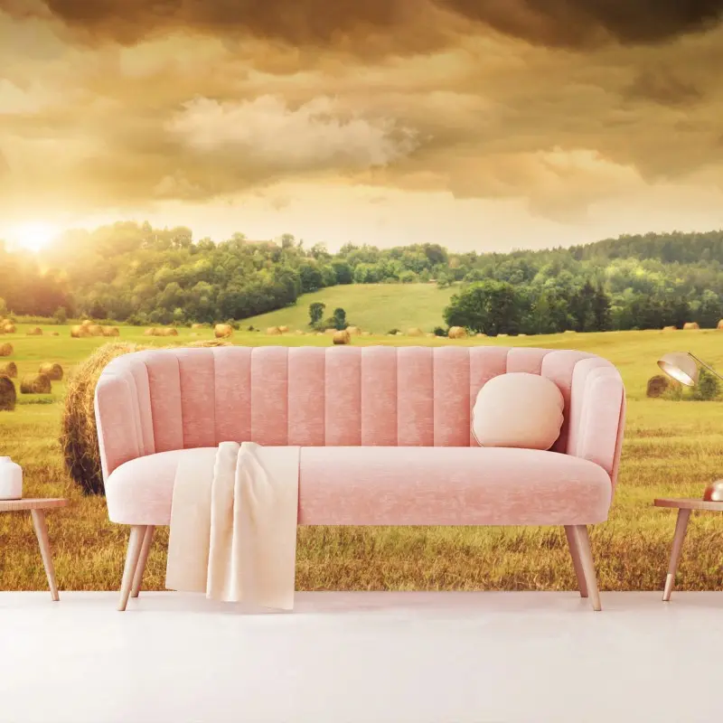 Wall mural golden hayfield at sunset