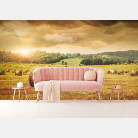 Wall mural golden hayfield at sunset • Wallissimo®