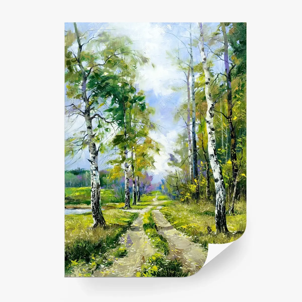 Wall mural spring birch forest path • Wallissimo®