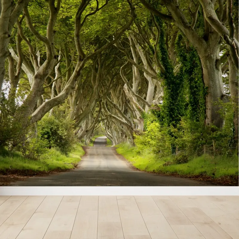 Wall mural enchanted beech tree tunnel