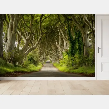 Wall mural enchanted beech tree tunnel • Wallissimo®
