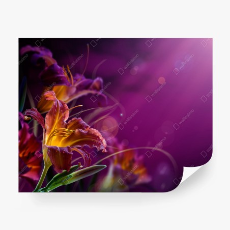 Wall mural glowing purple lily close-up • Wallissimo®
