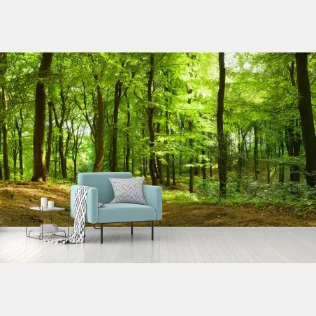 Wall mural serene green forest trail • Wallissimo®