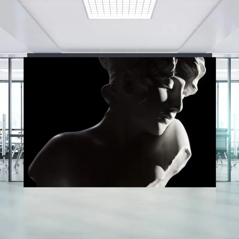 Wall mural classical marble bust in dramatic light
