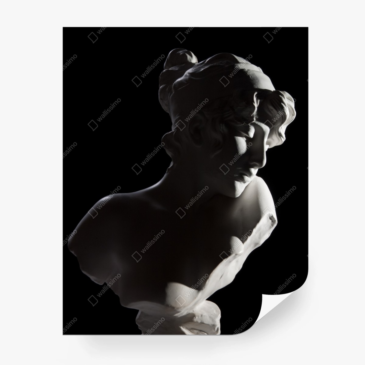 Wall mural classical marble bust in dramatic light • Wallissimo®