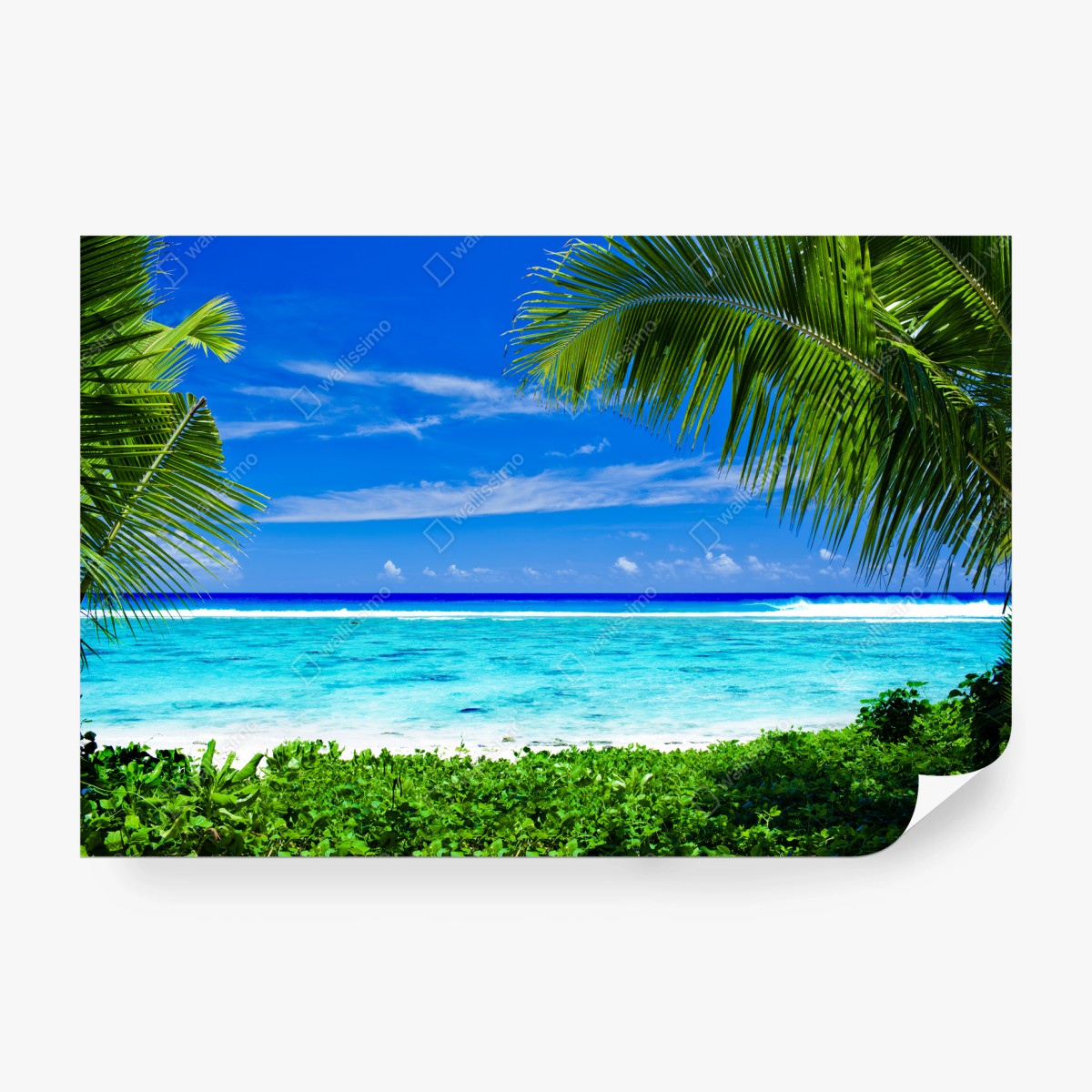 Wall mural tropical lagoon framed by palm trees • Wallissimo®
