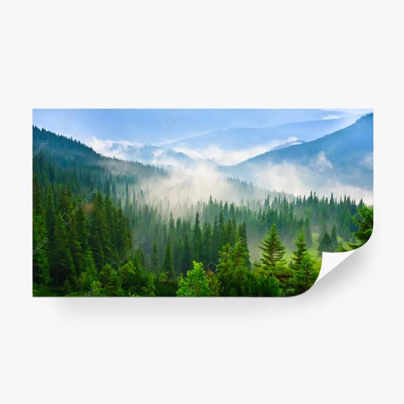 Wall mural Carpathian mist over evergreen mountains