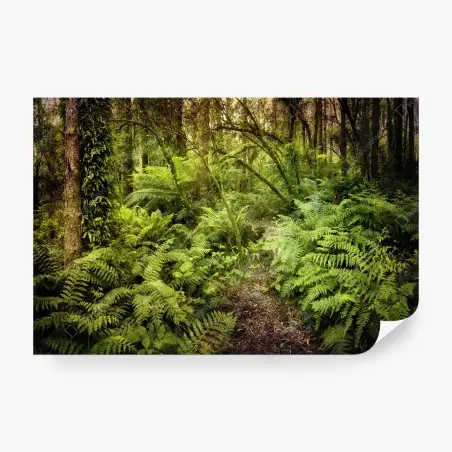 Wall mural lush fern rainforest path • Wallissimo®