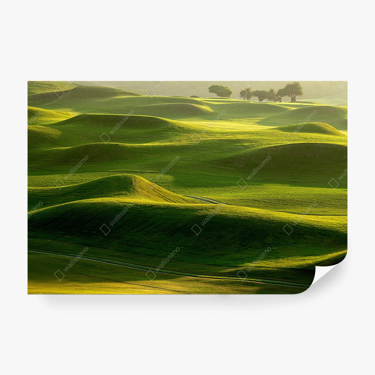 Wall mural serene rolling green meadows • Wallissimo®