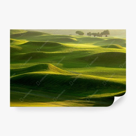 Wall mural serene rolling green meadows • Wallissimo®
