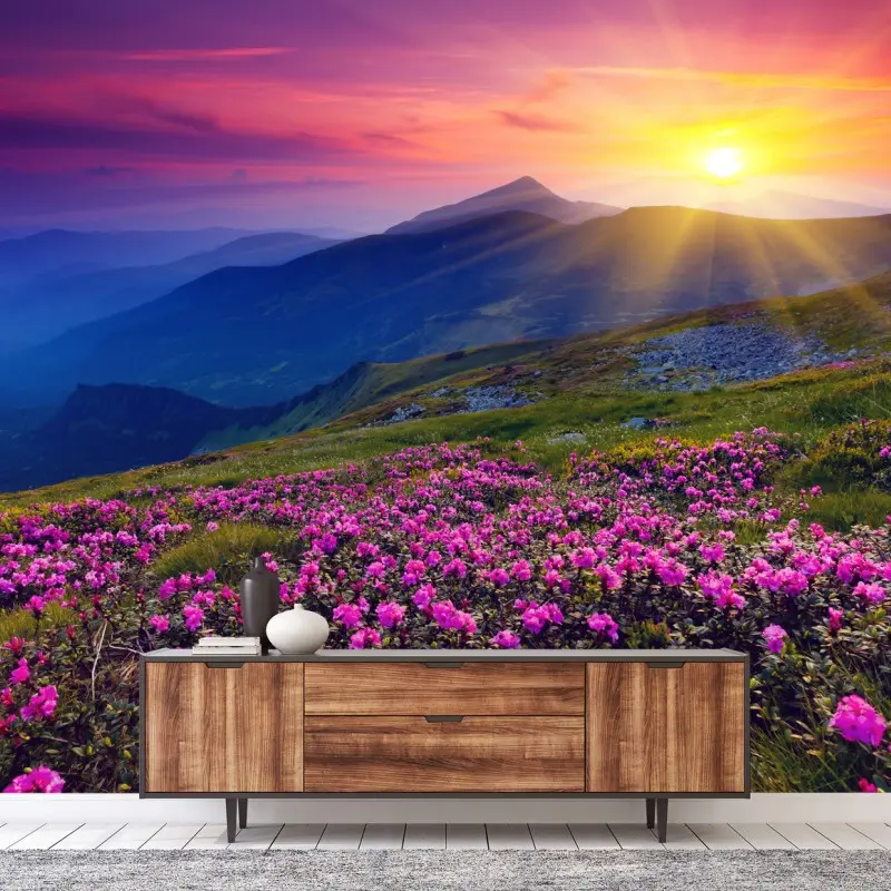 Wall mural pink rhododendron mountain sunrise