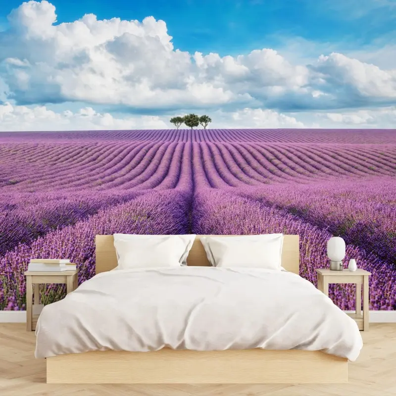 Wall mural lavender fields under a blue sky