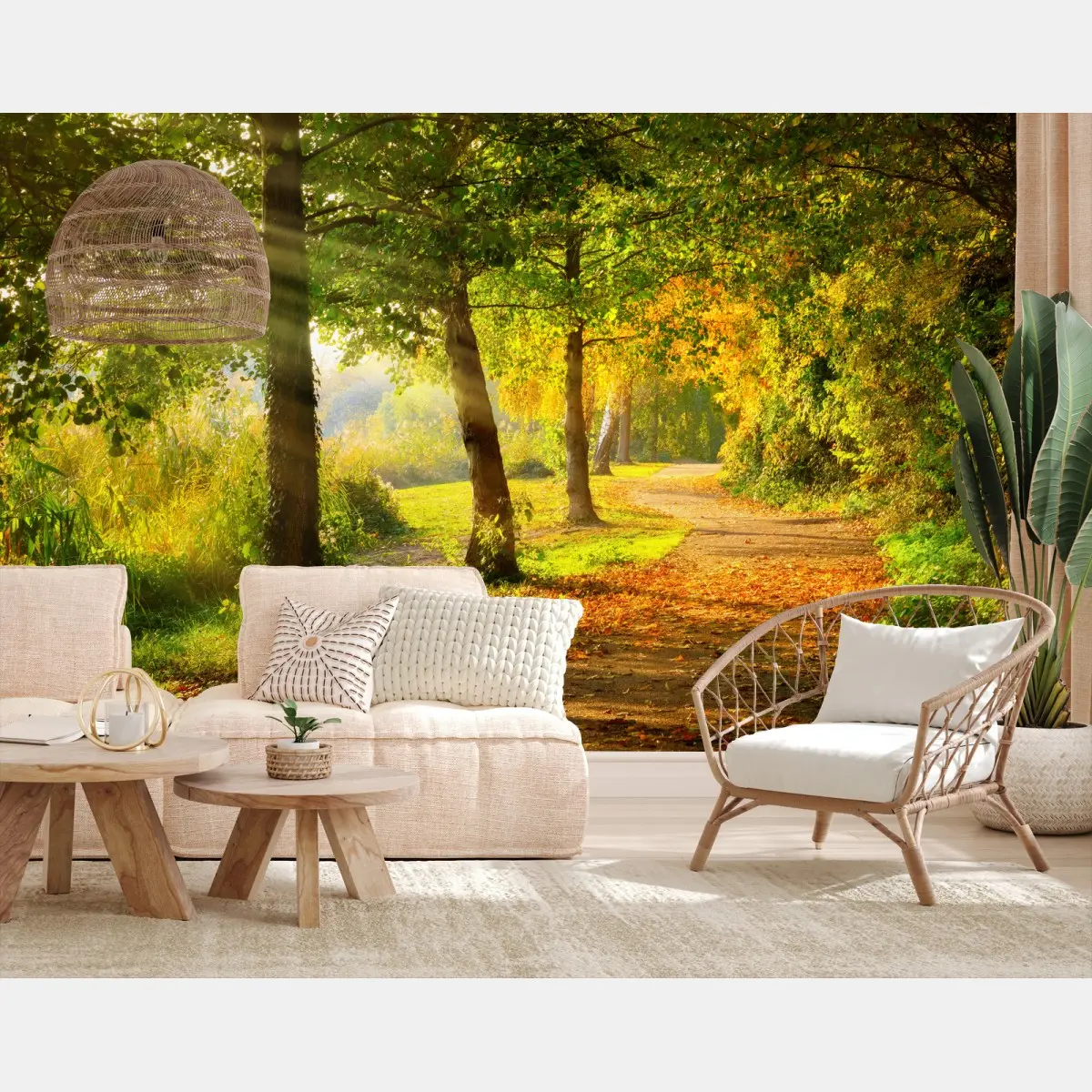 Wall mural autumn sunbeams along a park path • Wallissimo®