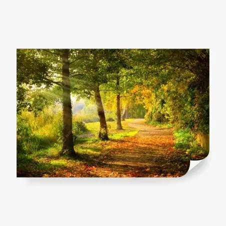 Wall mural autumn sunbeams along a park path • Wallissimo®