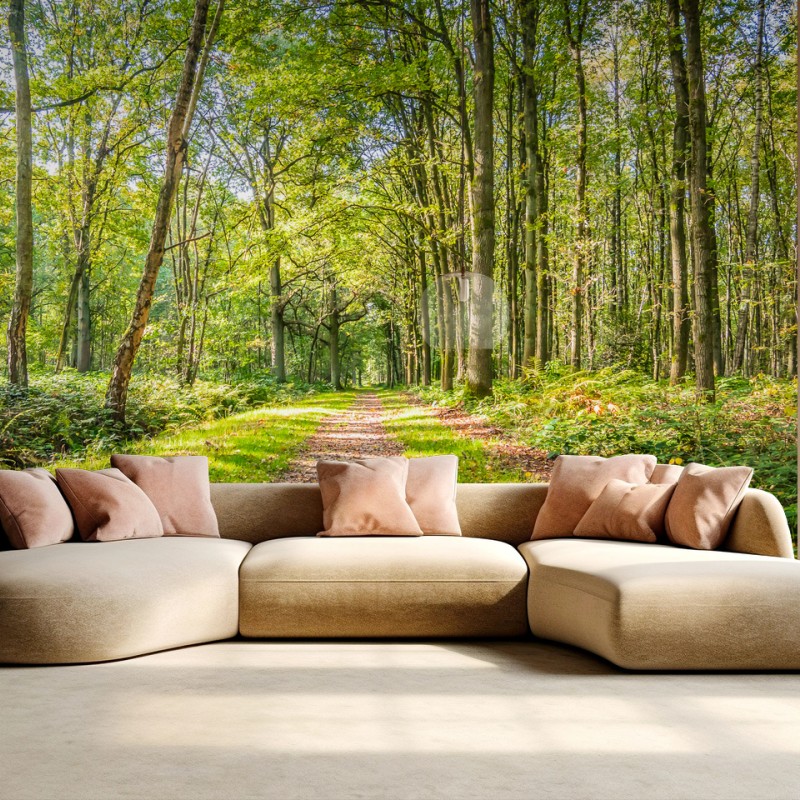 Wall mural sunlit forest trail