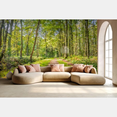 Wall mural sunlit forest trail • Wallissimo®