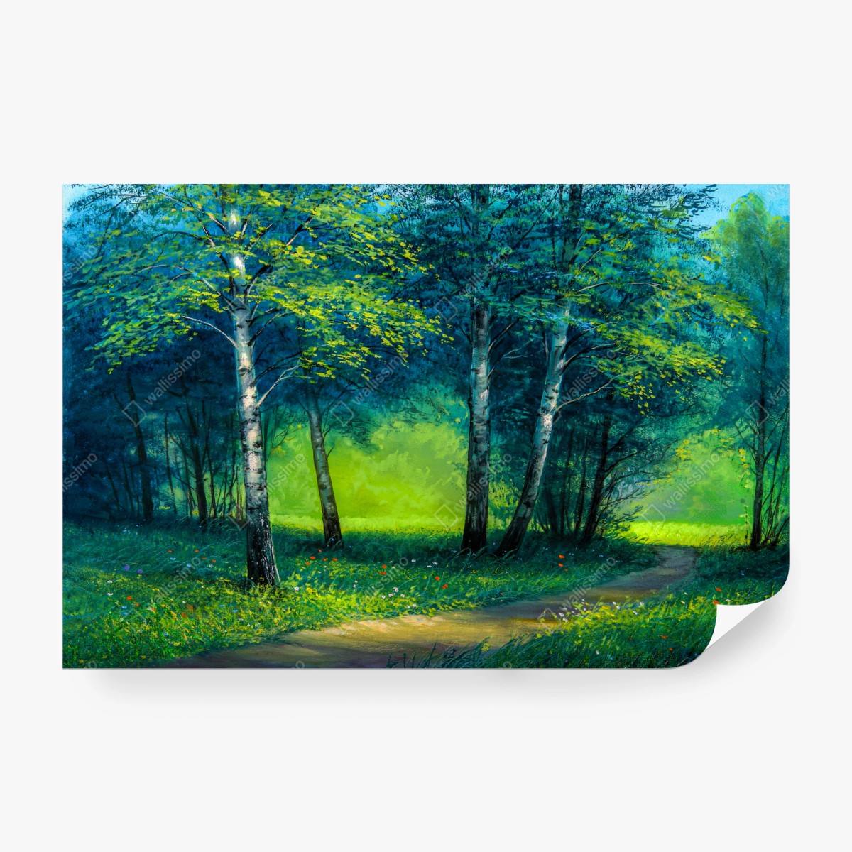 Wall mural sunlit birch path in summer forest • Wallissimo®
