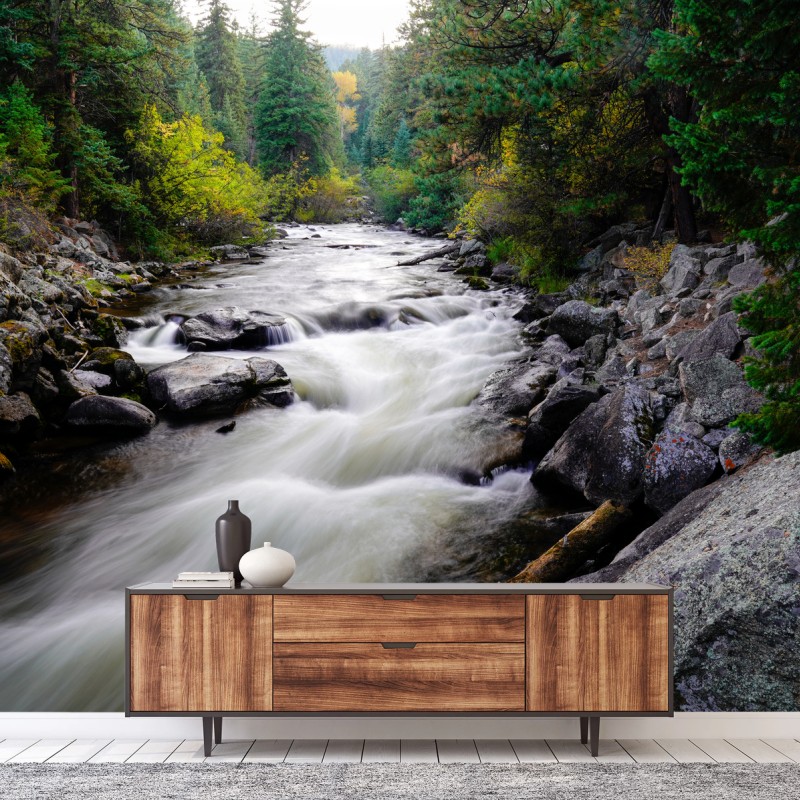 Wall mural flowing mountain stream through green forest