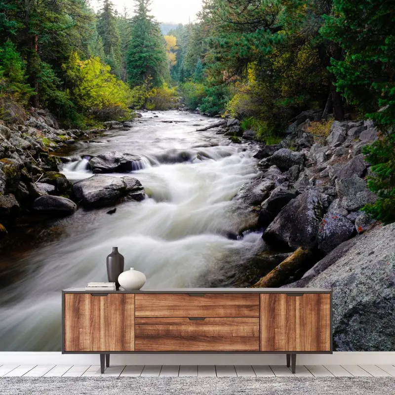 Wall mural flowing mountain stream through green forest