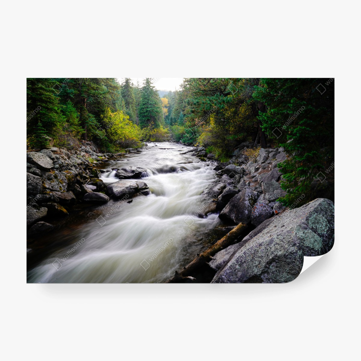 Wall mural flowing mountain stream through green forest • Wallissimo® Wall mural flowing mountain stream through green forest • Wallissimo®