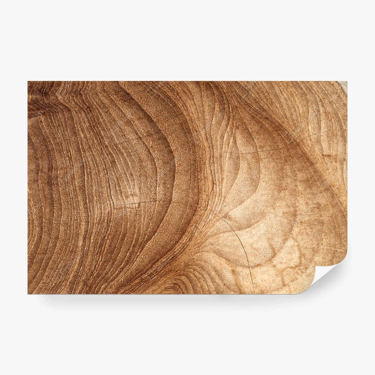 Wall mural natural wood grain pattern • Wallissimo®