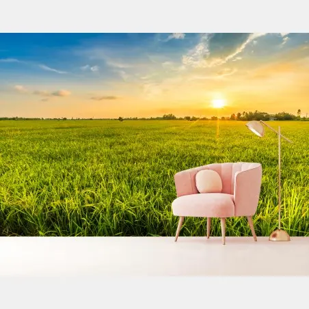Wall mural golden sunset over green meadow • Wallissimo®