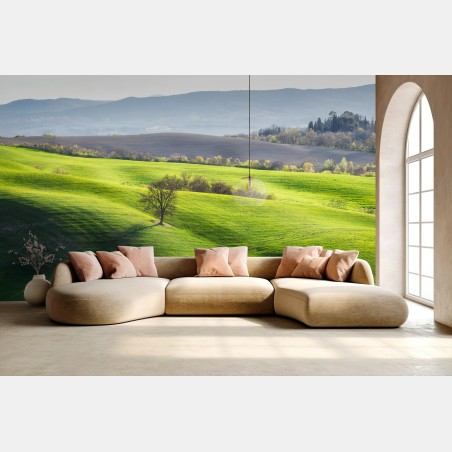 Wall mural Tuscany green rolling hills • Wallissimo®