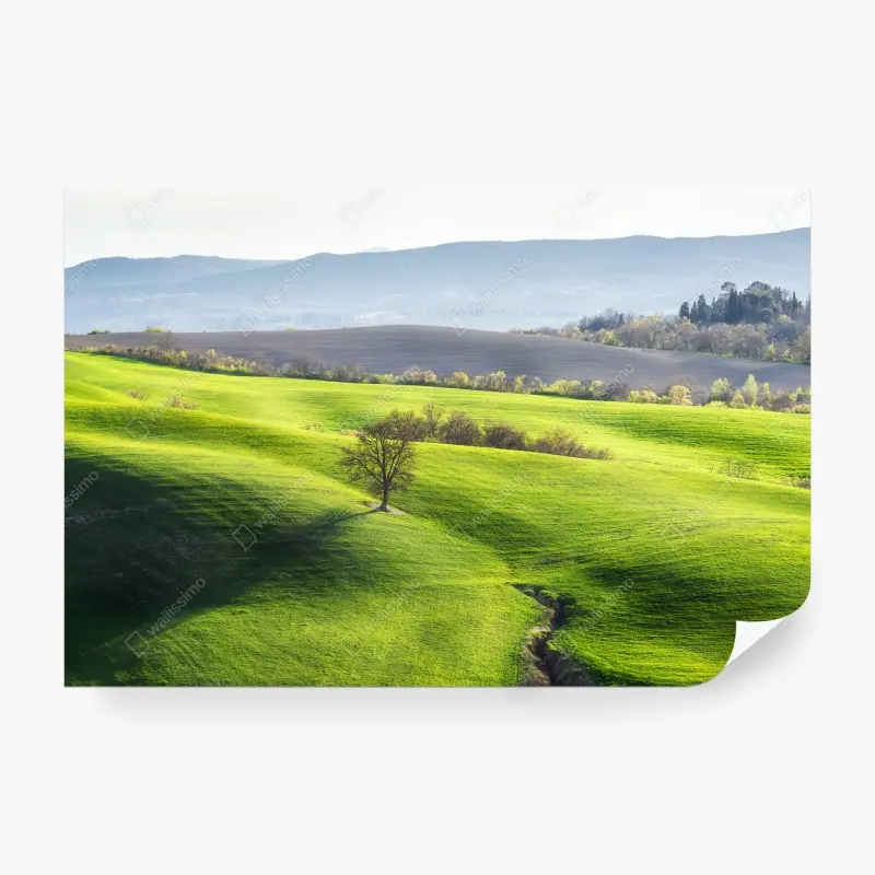 Wall mural Tuscany green rolling hills