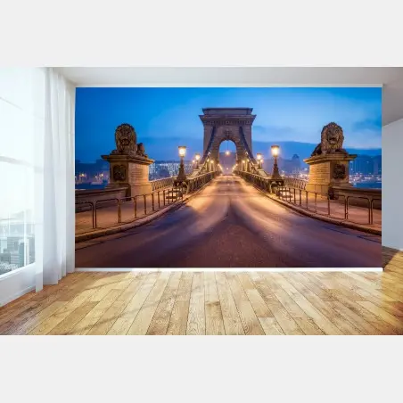 Wall mural Budapest chain bridge at dusk • Wallissimo®