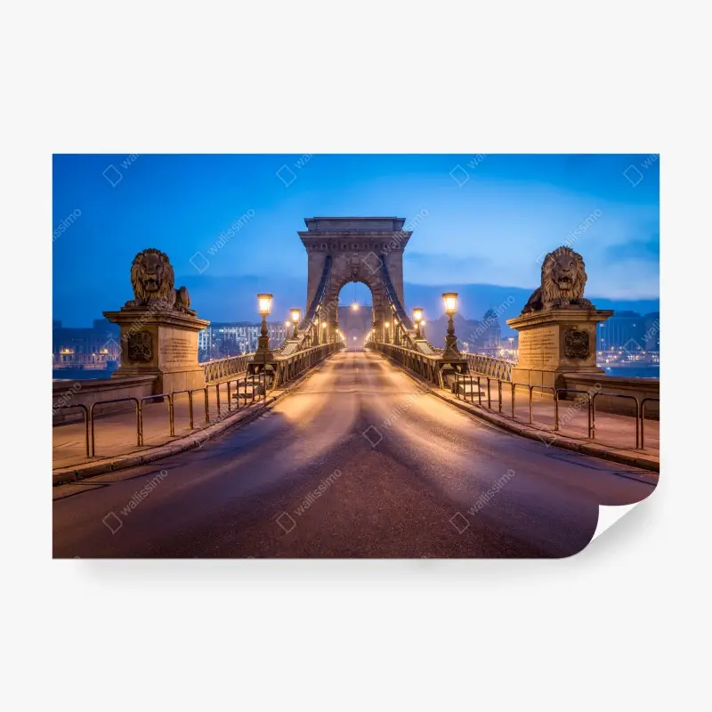 Wall mural Budapest chain bridge at dusk
