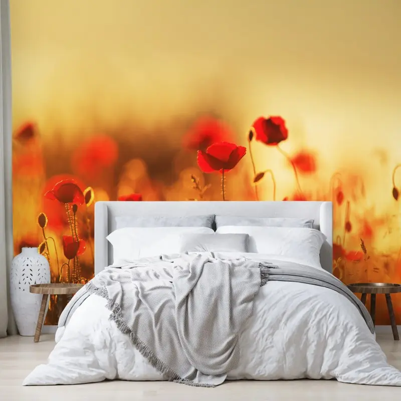 Wall mural golden poppy meadow at sunset