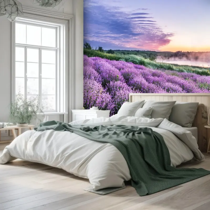 Wall mural lavender field at dawn