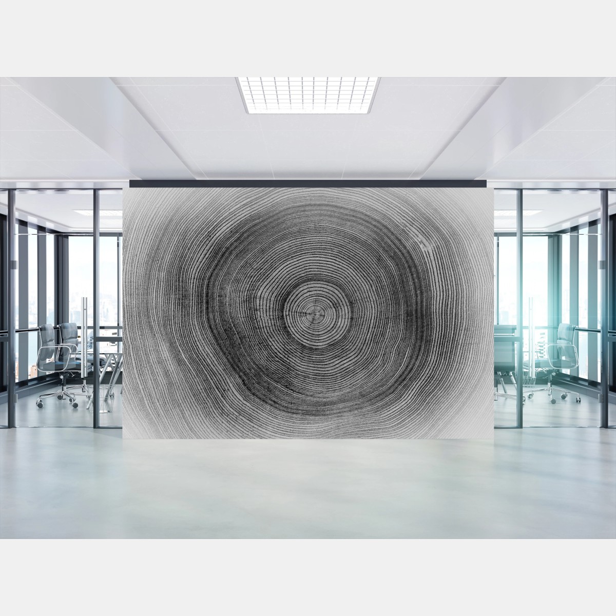 Wall mural monochrome tree rings texture • Wallissimo®