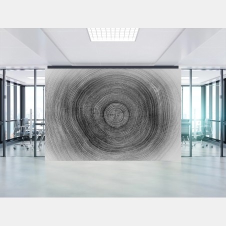 Wall mural monochrome tree rings texture • Wallissimo®