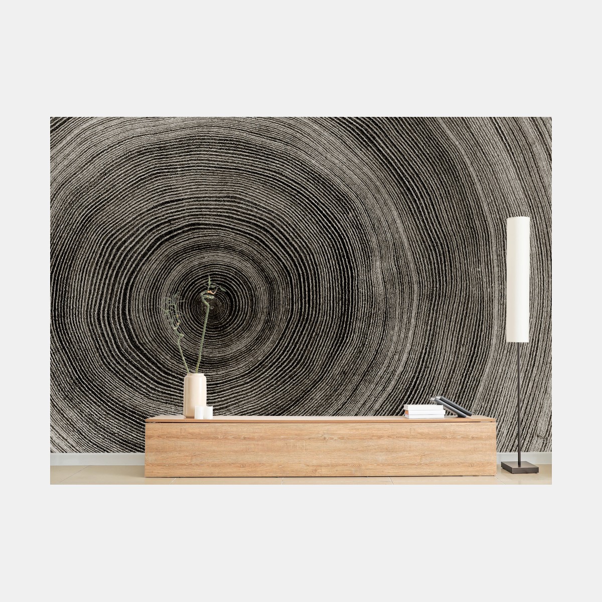 Wall mural concentric tree rings wood texture • Wallissimo®
