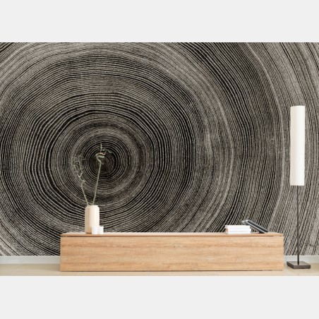 Wall mural concentric tree rings wood texture • Wallissimo®