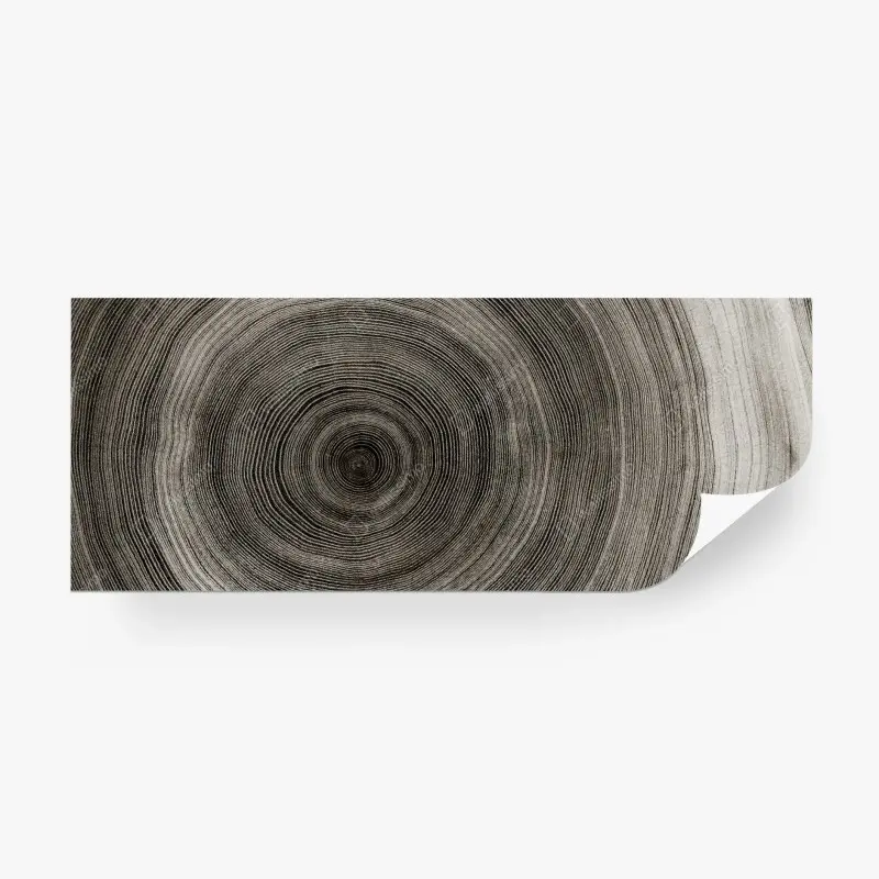 Wall mural concentric tree rings wood texture