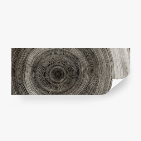 Wall mural concentric tree rings wood texture • Wallissimo®