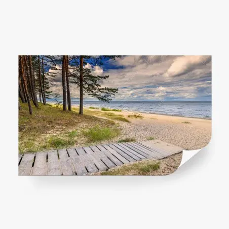 Wall mural tranquil pine beach seascape • Wallissimo®