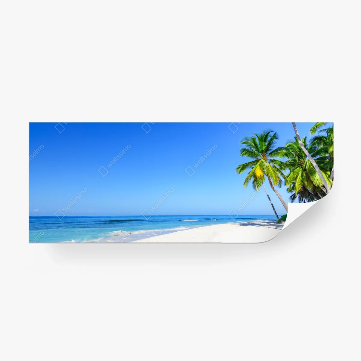 Wall mural tropical palm beach panorama • Wallissimo® Wall mural tropical palm beach panorama • Wallissimo®