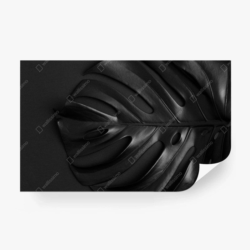 Wall mural black monstera leaf composition • Wallissimo® Wall mural black monstera leaf composition • Wallissimo®